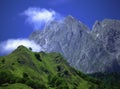 Pyrenees