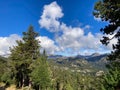 Pyrenees mountain landscape with pine forest under blue sky Royalty Free Stock Photo