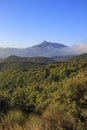 Pyrenees mountain peak landscape on a solid blue sky and green forest trees Royalty Free Stock Photo