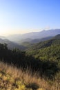 Pyrenees mountain peak landscape on a solid blue sky and green forest trees Royalty Free Stock Photo