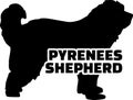 Pyrenees Shepherd silhouette name