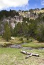 Pyrenees in summer Royalty Free Stock Photo