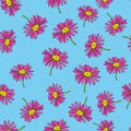 Pyrethrum daisy seamless pattern on blue background Royalty Free Stock Photo