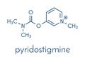 Pyridostigmine cholinesterase drug molecule. Used in treatment of myasthenia gravis and as antidote to some nerve agents. Skeletal