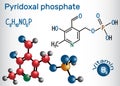 Pyridoxal phosphate PLP, pyridoxal 5`-phosphate, P5P, vitamin