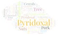 Pyridoxal word cloud. Royalty Free Stock Photo