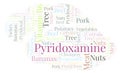 Pyridoxamine word cloud. Royalty Free Stock Photo