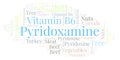 Pyridoxamine word cloud. Royalty Free Stock Photo