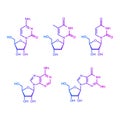 Pyrimidine and purine nucleosides