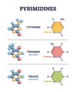 Pyrimidines as cytosine, thymine and uracil organic compounds outline diagram