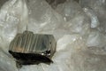Pyrite crystal in rock crystal drusen Royalty Free Stock Photo