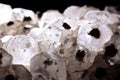 Pyrites and calcite translucent minerals on a black background