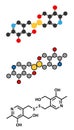 Pyritinol (pyridoxine disulfide) cognitive and learning disorder drug molecule. Stylized 2D renderings and conventional skeletal