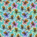 Pyrola. Seamless pattern texture of flowers. Floral background, photo collage