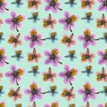 Pyrola. Seamless pattern texture of flowers. Floral background, photo collage