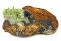 Pyromorphite