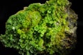 Pyromorphite vugs