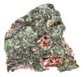 pyrope garnets in unpolished rock isolated