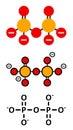 Pyrophosphate (PPi) anion. Important in biochemistry, used as food additive (E450