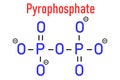 Pyrophosphate PPi anion. Important in biochemistry, used as food additive E450. Skeletal formula.