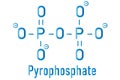 Pyrophosphate PPi anion. Important in biochemistry, used as food additive E450. Skeletal formula. Royalty Free Stock Photo