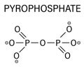 Pyrophosphate PPi anion. Important in biochemistry, used as food additive E450. Skeletal formula.