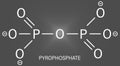 Pyrophosphate PPi anion. Important in biochemistry, used as food additive E450. Skeletal formula.