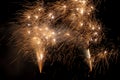 Pyrotechnics at a wedding or New Year`s Eve.