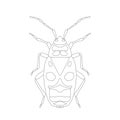 Pyrrhocoris apterus. beetle. Bug-soldier. Sketch of beetle. beetle on white background. beetle Design for coloring book.