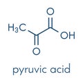 Pyruvic acid pyruvate molecule. Important intermediate in a number of biochemical processes. Skeletal formula.