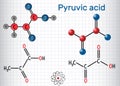 Pyruvic acid pyruvate molecule. It is the simplest of the alph