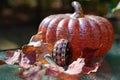 pysanka and pumpkin thanksgiving Royalty Free Stock Photo