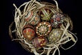 Pysanky Colorful Ukrainian Easter Eggs in a basket