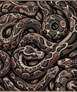 Python is a genus of constricting snakes in the Pythonidae family