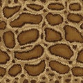 Python Pattern Royalty Free Stock Photo