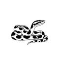 Python. Python simple black and white line art vector logo Royalty Free Stock Photo