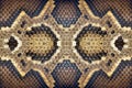 Python skin pattern.