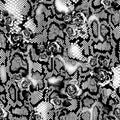 Python skin with rose pattern Royalty Free Stock Photo