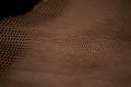 Python skin texture. Genuine Leather Royalty Free Stock Photo