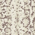 Python skin texture seamless pattern Royalty Free Stock Photo