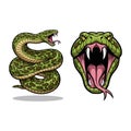 Python Snake Fullbody and Head Illustration Royalty Free Stock Photo