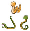 Python snakes collection Royalty Free Stock Photo