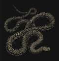 Python In Vintage Style On A Black Background. Serpent Or Poisonous Viper Snake. Engraved Hand Drawn Old Reptile Sketch