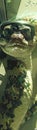 Python wearing AR glasses, soft focus, from above, in a modern lab setting , hyper realistic