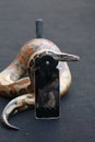 python wrapped around monopot