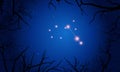 Pyxis constellation. Tree branches, starry sky Royalty Free Stock Photo