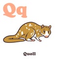 Q for Quoll