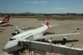 Qantas Airbus at gate Sydney in background