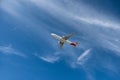 QANTAS Airbus 300 homeward bound