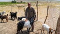 Qashqai Turkish man with a group of goats, Shiraz, Iran